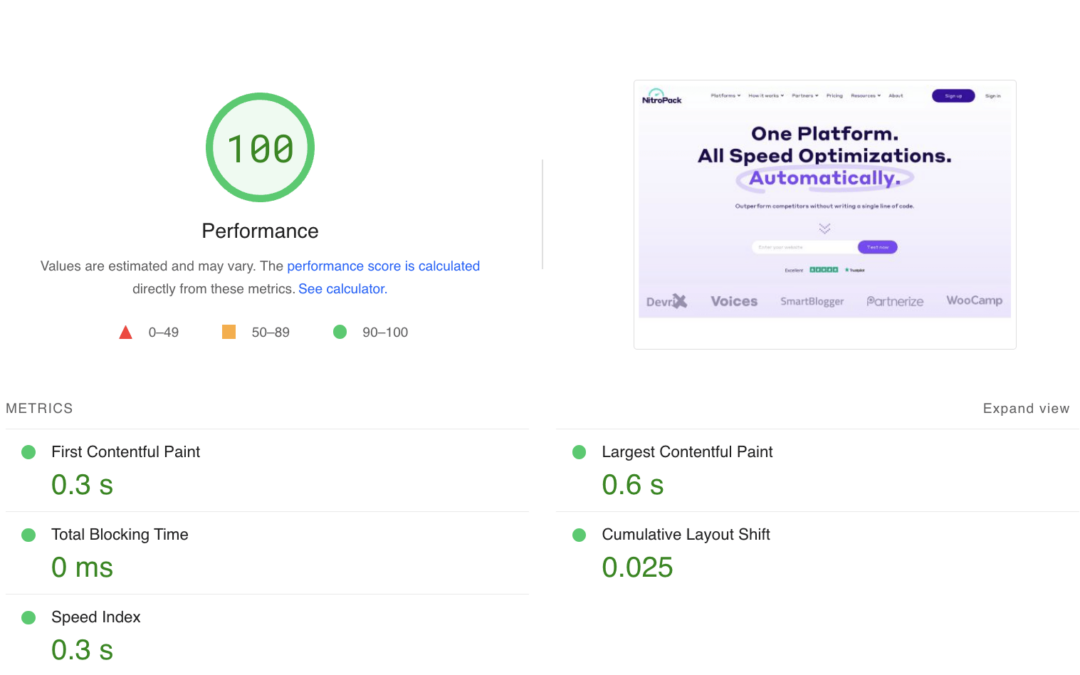 Google Pagespeed Insights